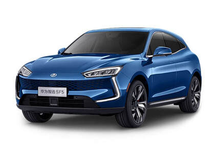 Коврики на Seres SF5 2019 - 2022 в Магнитогорске