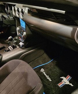 Ворсовые коврики на Ford Mustang VI 2013 - 2023 в Магнитогорске Ворсовые коврики на Ford Mustang VI 2013 - 2023 в Магнитогорске