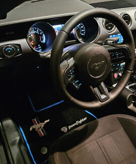 Ворсовые коврики на Ford Mustang VI 2013 - 2023 в Магнитогорске Ворсовые коврики на Ford Mustang VI 2013 - 2023 в Магнитогорске